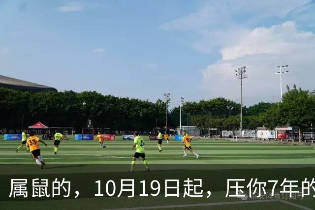 属鼠的,10月19日起,压你7年的死结,终于松了,从此一飞冲天